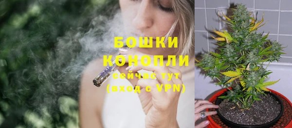 PSILOCYBIN Белоозёрский